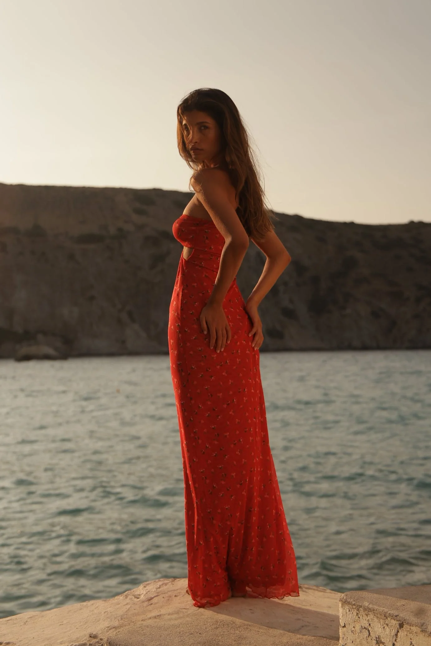 Phoebe Dress in Cayenne - Image 6